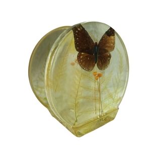 Vintage 70s Lucite Butterfly & Dried Plants Napkin Mail Paper Holder
